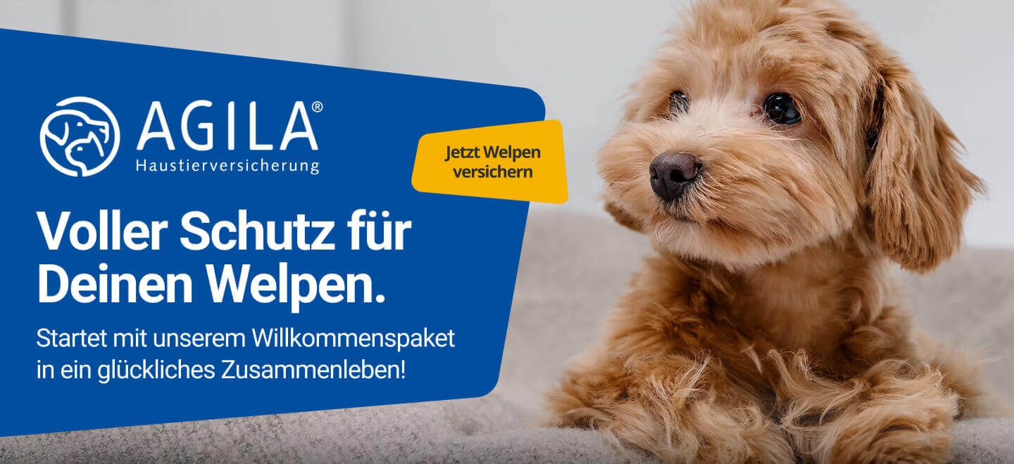 agila puppy kampagne banner 1440x600