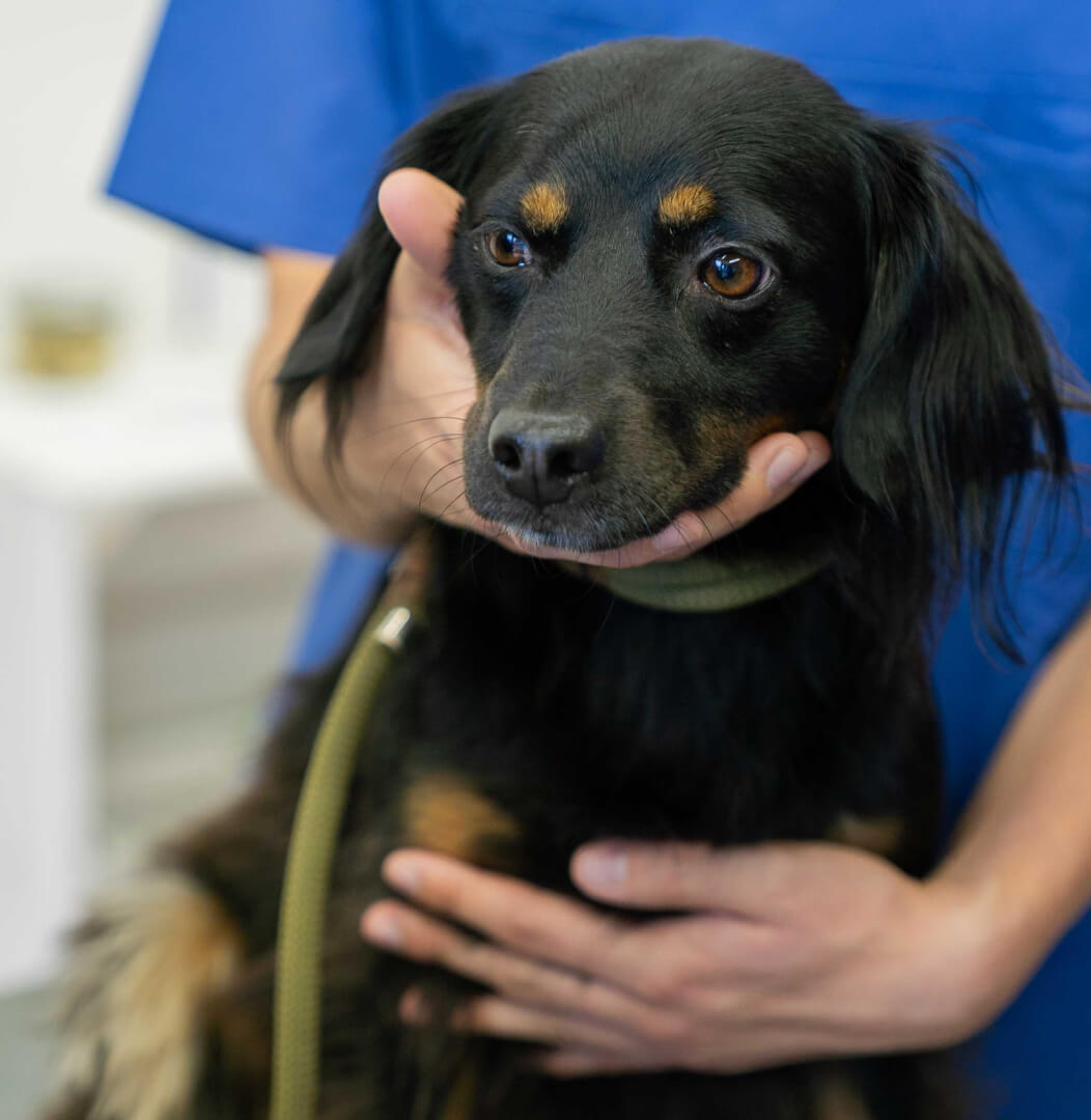 stellenangebote übersicht main block 2