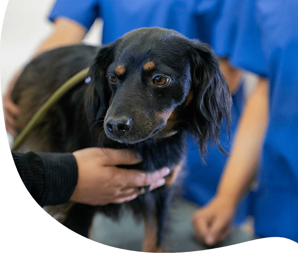 stellenangebote übersicht main block 2