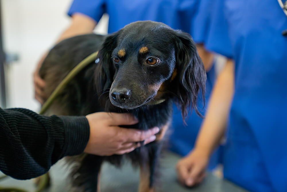 stellenangebote übersicht main block 2