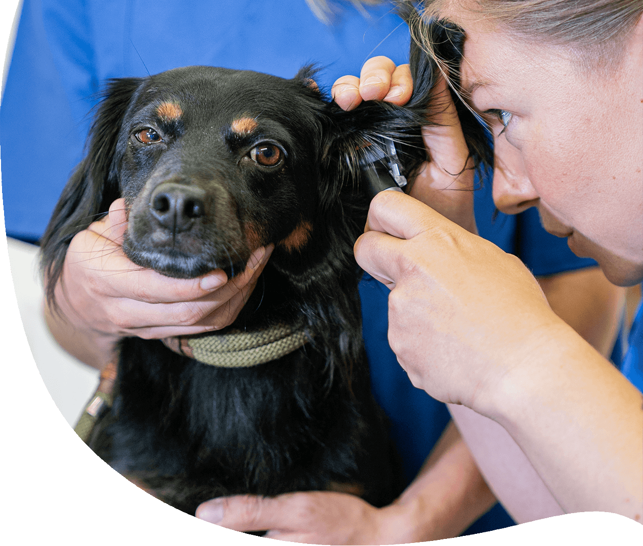 stellenangebote übersicht main block 2