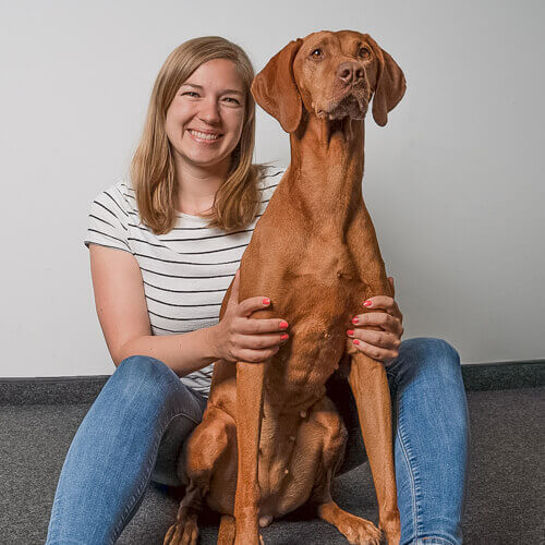Milztumor beim Hund Was nun? AGILA