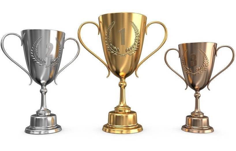 Die beliebtesten Katzennamen 2014