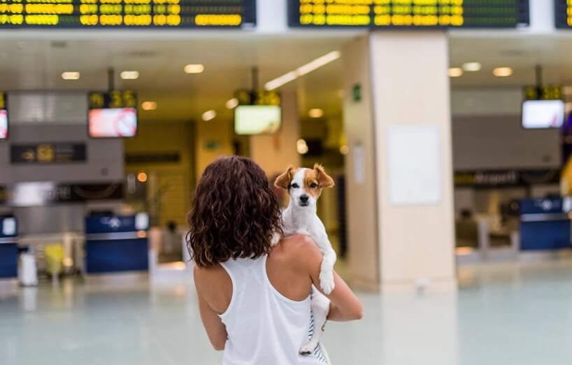 Frau mit Hund im Arm steht vor Abflugtafeln am Flughafen