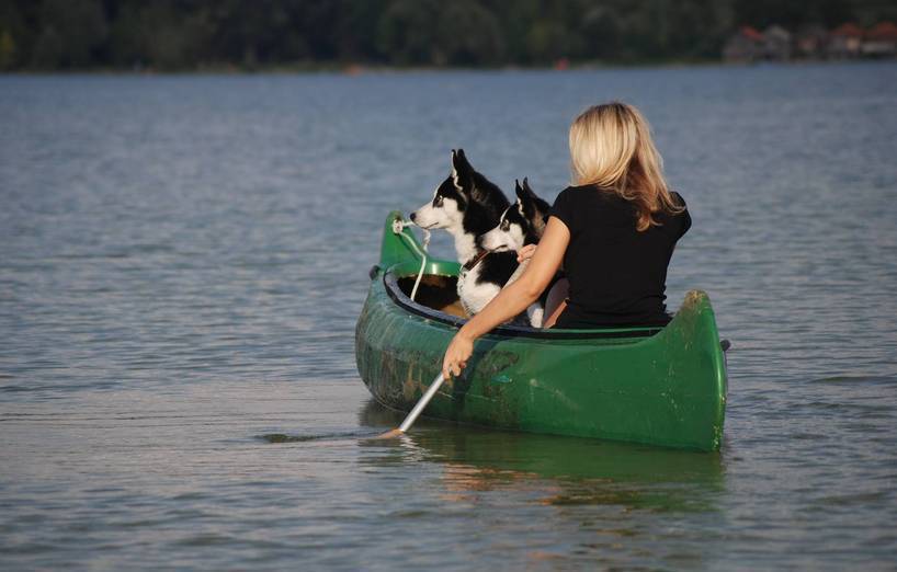 Kanufahren mit Hund