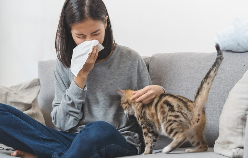Frau niest neben Katze - Katzenallergie