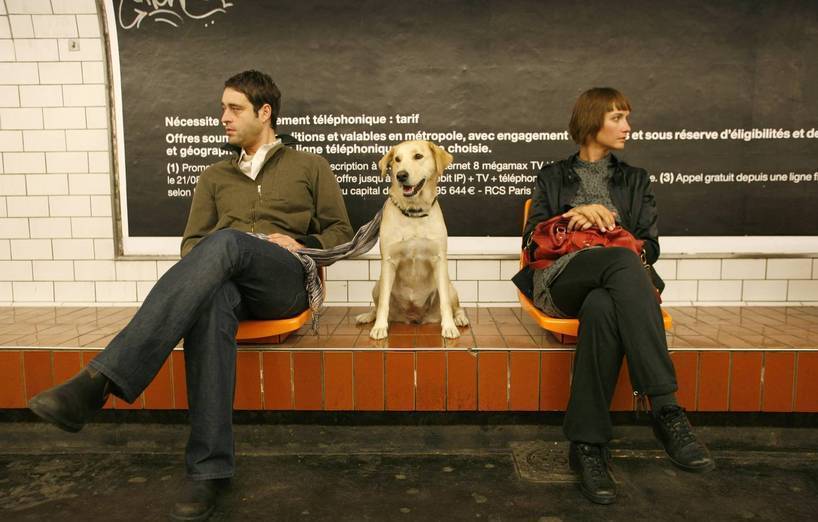 Moskau: Hunde fahren Metro -