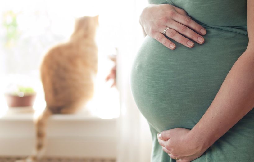 Haustiere Und Schwangerschaft Wenn Frauchen Ein Baby