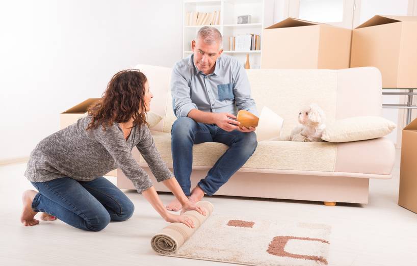 Stressfreier Umzug: Wie sich Hund und Katze am besten eingewöhnen