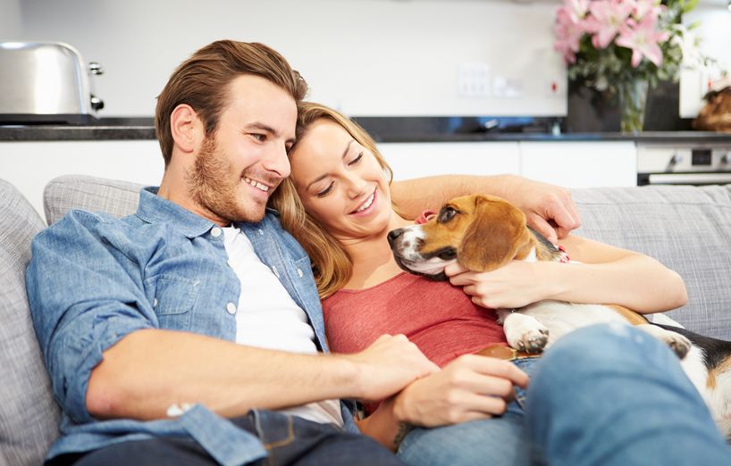 Tierfreundliche Tipps gegen Hundegeruch in der Wohnung AGILA