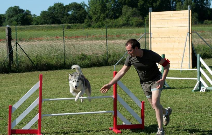 Turnierhundesport