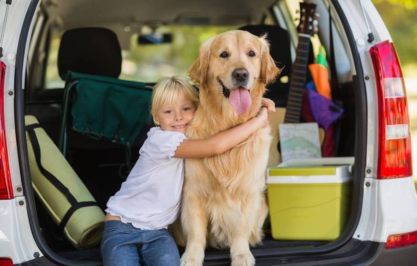 Mit Hund verreisen: Tipps und Tricks für Reisen mit Hund - AGILA