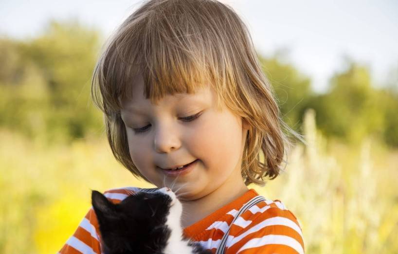 Wirkung Der Katzen Auf Den Menschen Agila