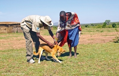 „Impfen für Afrika“ gegen Tollwut in Afrika