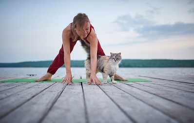 Katzen-Yoga als Zusammenspiel aus Mensch und Tier