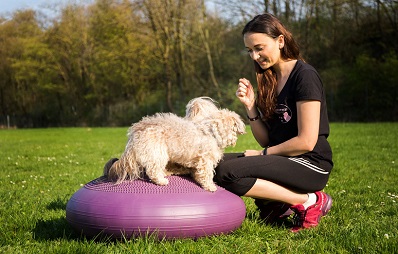 Muskelkater beim Hund