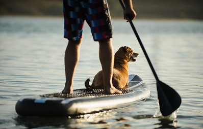 Stand Up Paddling mit Hund