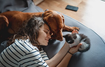 Beliebteste Hunderassen 2023