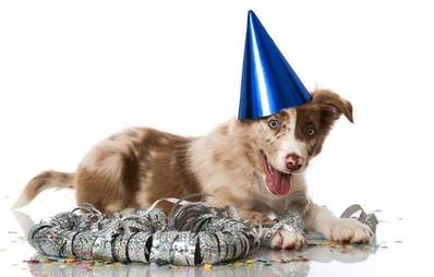 AGILA wünscht einen guten Rutsch.