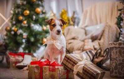 AGILA wünscht Frohe Weihnachten