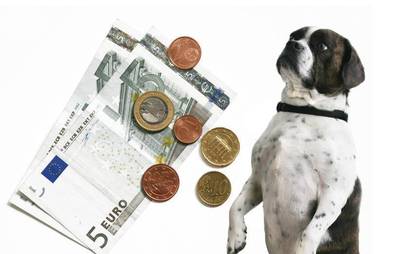 AGILA zaubert Geld ins Portemonnaie