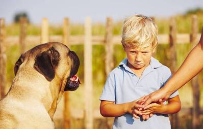 Angst vor Hunden verlieren