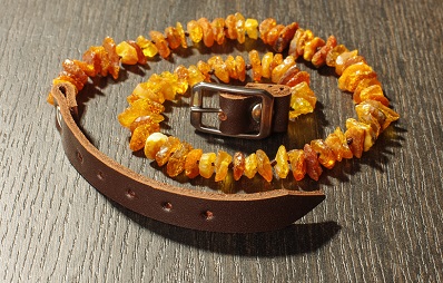 Bernsteinkette für Hunde