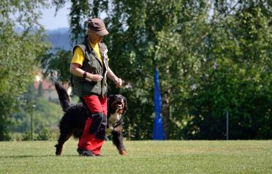 Berufe mit Hund: Der Filmtiertrainer