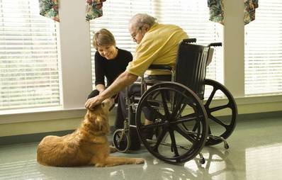 Besuchshündin Mira sorgt für Freude im Seniorenheim