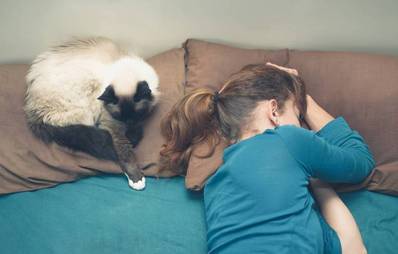 Bett mit der Katze teilen