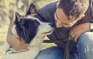 Der Hundeblick