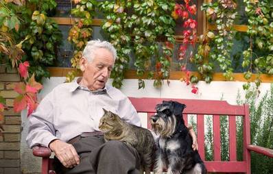 Das Leben mit Hunde- und Katzensenioren