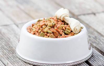 Das richtige Futter für Hunde