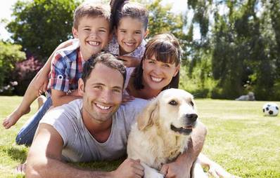 Der richtige Familienhund - Worauf kommt es an?