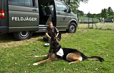 Militärhunde und Hundeführer: Erfahrungsbericht