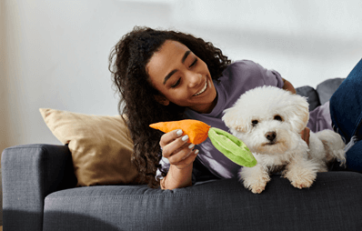 Junge Frau spielt lachend mit einem kleinen weißen Bichon Frisé auf dem Sofa 