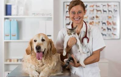 Die Onlineversandapotheke dankedoc.de