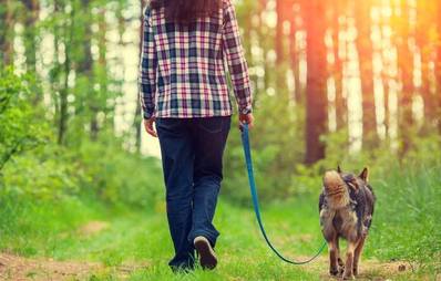 Die richtige Leinenführigkeit - von der Marionette zum souveränen Hundehalter