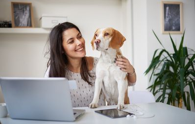 Tierhalterhaftpflicht: Was das ist & wofür man sie braucht