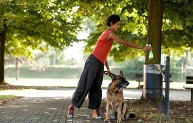 Dogtoi:Bio-Kotbeutel