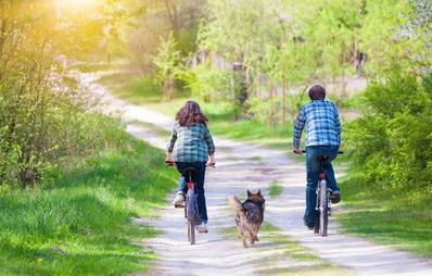 Fahrradfahren mit Hund