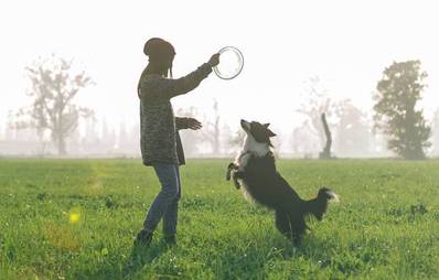 Fitte Fellnasen - tierischer Konditionsaufbau