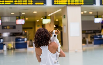 Frau mit Hund im Arm steht vor Abflugtafeln am Flughafen