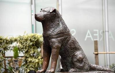 Fünf Denkmäler für ganz besondere Hunde