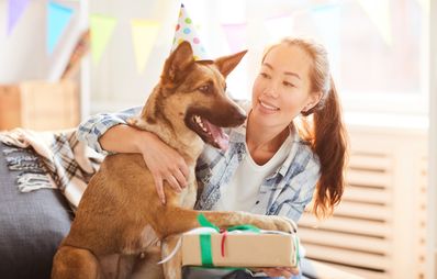 Geburtstagsparty für Hunde