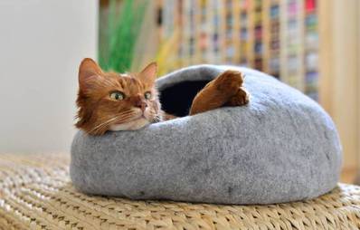 Gewinnspiel hochwertige Filzhöhle für Katzen