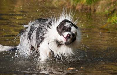 Gewinnspiel Fotoband Shake