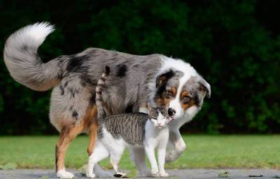 Gewinnspiel: Wir feiern den 200.000sten Vertrag