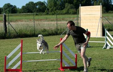 Hund und Mensch als Team - Bewegung verbindet