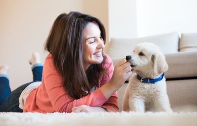 Hundeanschaffung: Erziehung von kleinauf